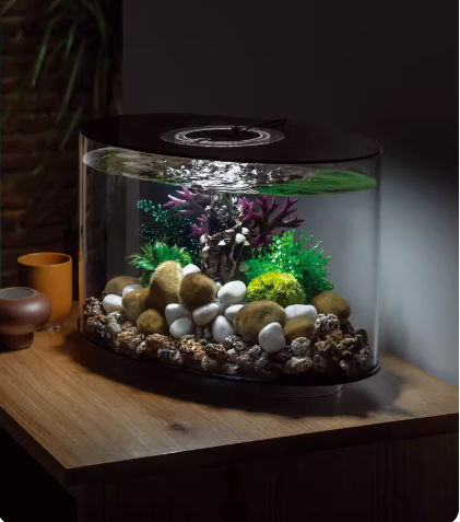 Small desktop fish tank, suitable for bedrooms, living rooms, and home decor. It's a new model of lazy-person aquariums.