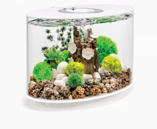 Small desktop fish tank, suitable for bedrooms, living rooms, and home decor. It's a new model of lazy-person aquariums.