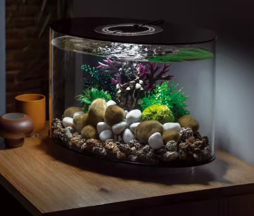 Small desktop fish tank, suitable for bedrooms, living rooms, and home decor. It's a new model of lazy-person aquariums.