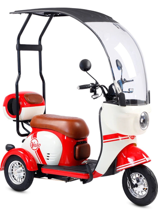 Electric Tricycle for Families: Safe, Stable, and Spacious for Up to Three Passengers with a maximum power of 1000W and 72v battery