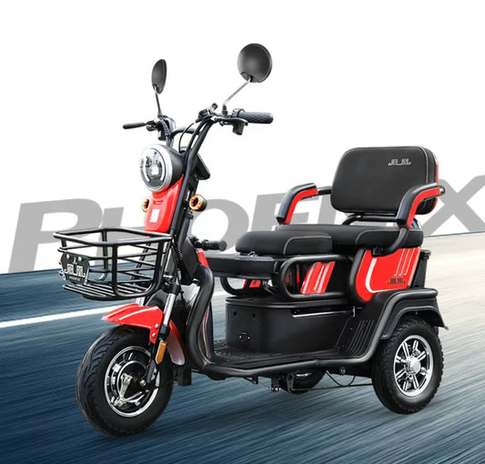 Phoenix Electric Tricycle with Shed: Ideal for Elderly and Children's Transportation with a maximum power of upto 500w and 72v battery