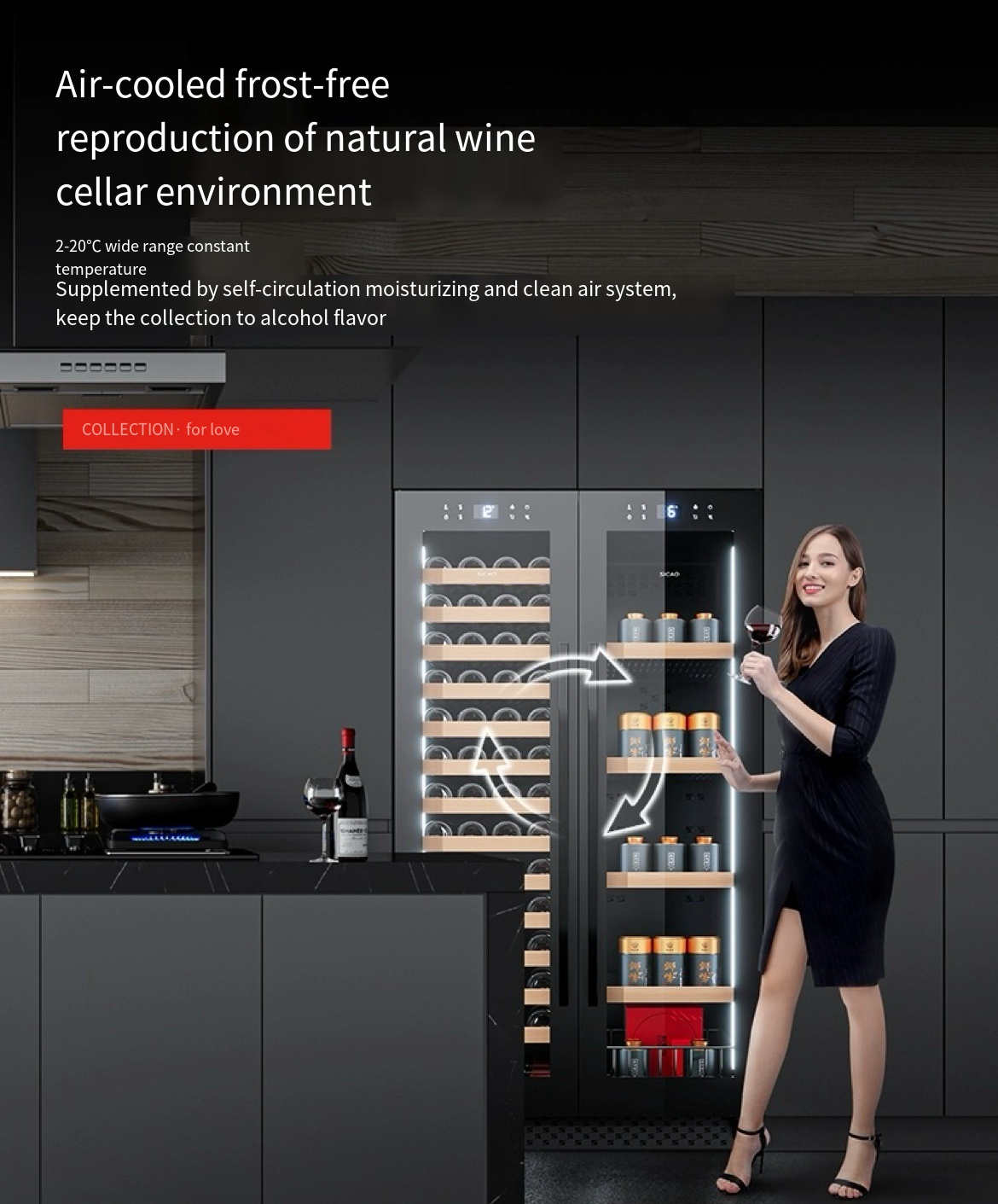 JC-500B Wine Cabinet: Elevate Your Living Space with an Ultra-Thin Ice Bar Double Door Refrigerator and Constant Temperature Wine Storage