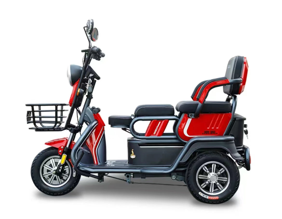 Phoenix Electric Tricycle with Shed: Ideal for Elderly and Children's Transportation with a maximum power of upto 500w and 72v battery