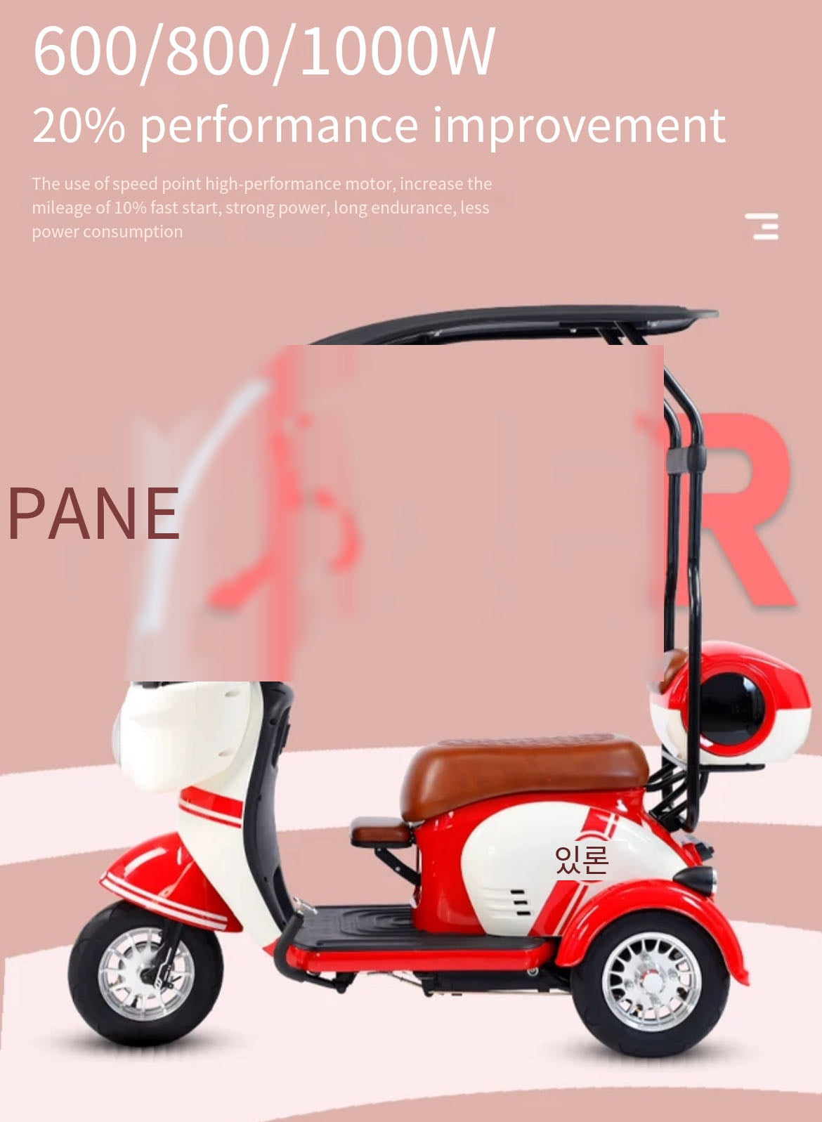 Electric Tricycle for Families: Safe, Stable, and Spacious for Up to Three Passengers with a maximum power of 1000W and 72v battery