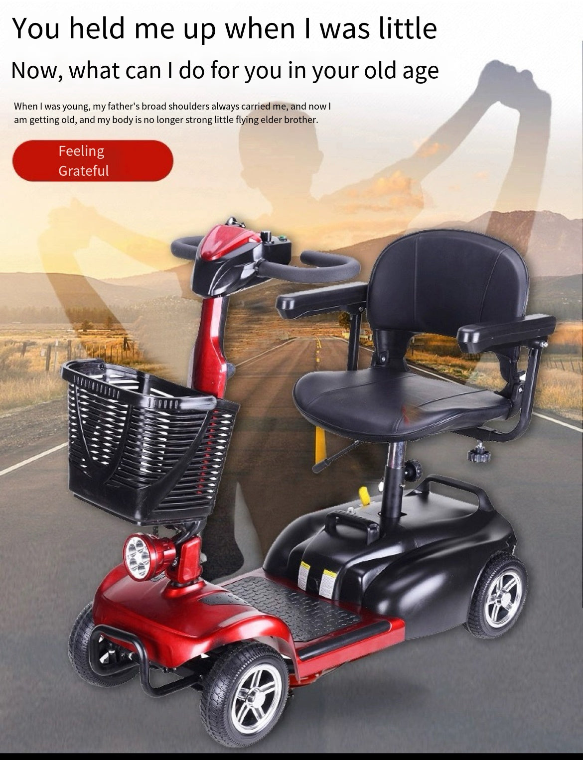 Mobility Master: The All-in-One Electric Vehicle for Seniors and the Disabled with a maximum power below 500w and 24v battery voltage